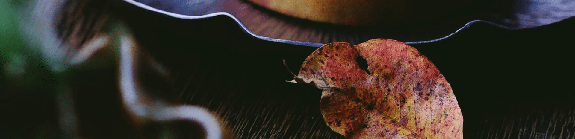 Banner_Leaf-2